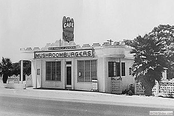 68d5bb_cabcde84333f444aa0628425ee2bc9ff.jpg_srz_568_379_85_22_0.50_1.20_0 (2).jpg